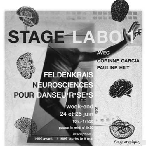 Stage Labo*1 Feldenkrais Neurosciences pour danseurs.euses
