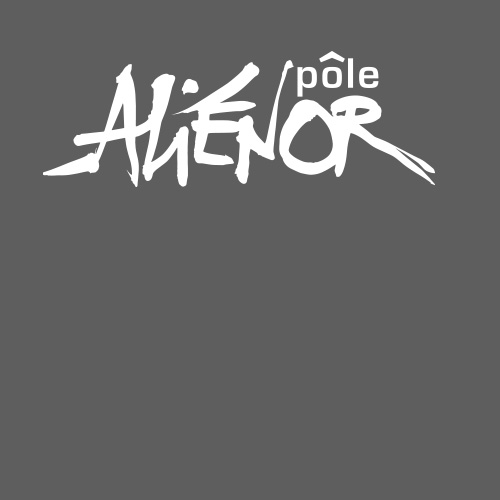 Logo Pôle Aliénor Poitiers