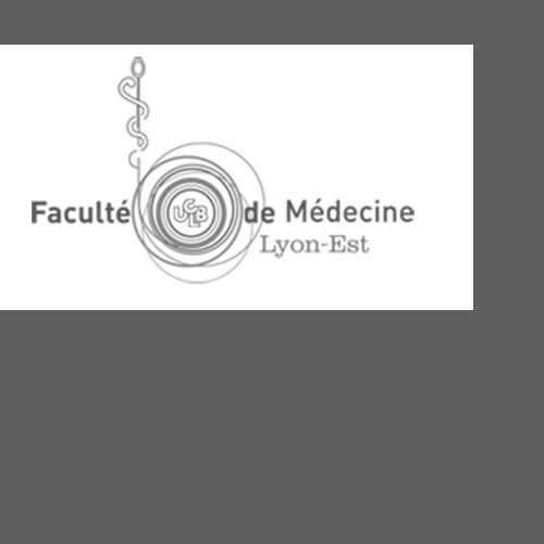 Feldenkrais faculté de médecine de Lyon