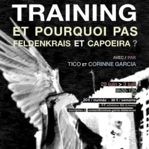 Stage Feldenkrais et Capoeira avec Pablo Vavre–Garcia (Tico) et Corinne Garcia - Training Et pourquoi pas, Lyon, juin-juillet 2026