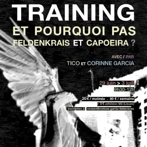 Stage Feldenkrais et Capoeira avec Pablo Vavre–Garcia (Tico) et Corinne Garcia - Training Et pourquoi pas, Lyon, juin-juillet 2026